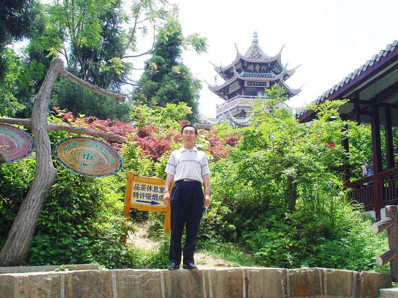 六奇阁图片
